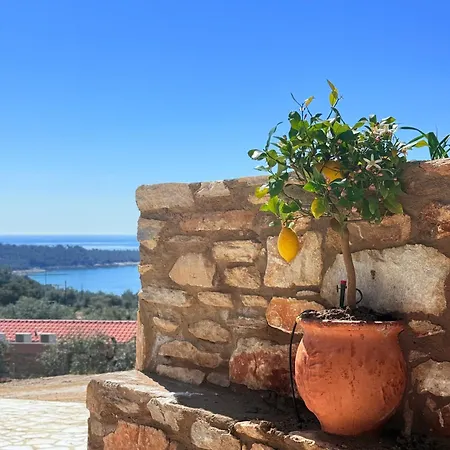 Olea Village